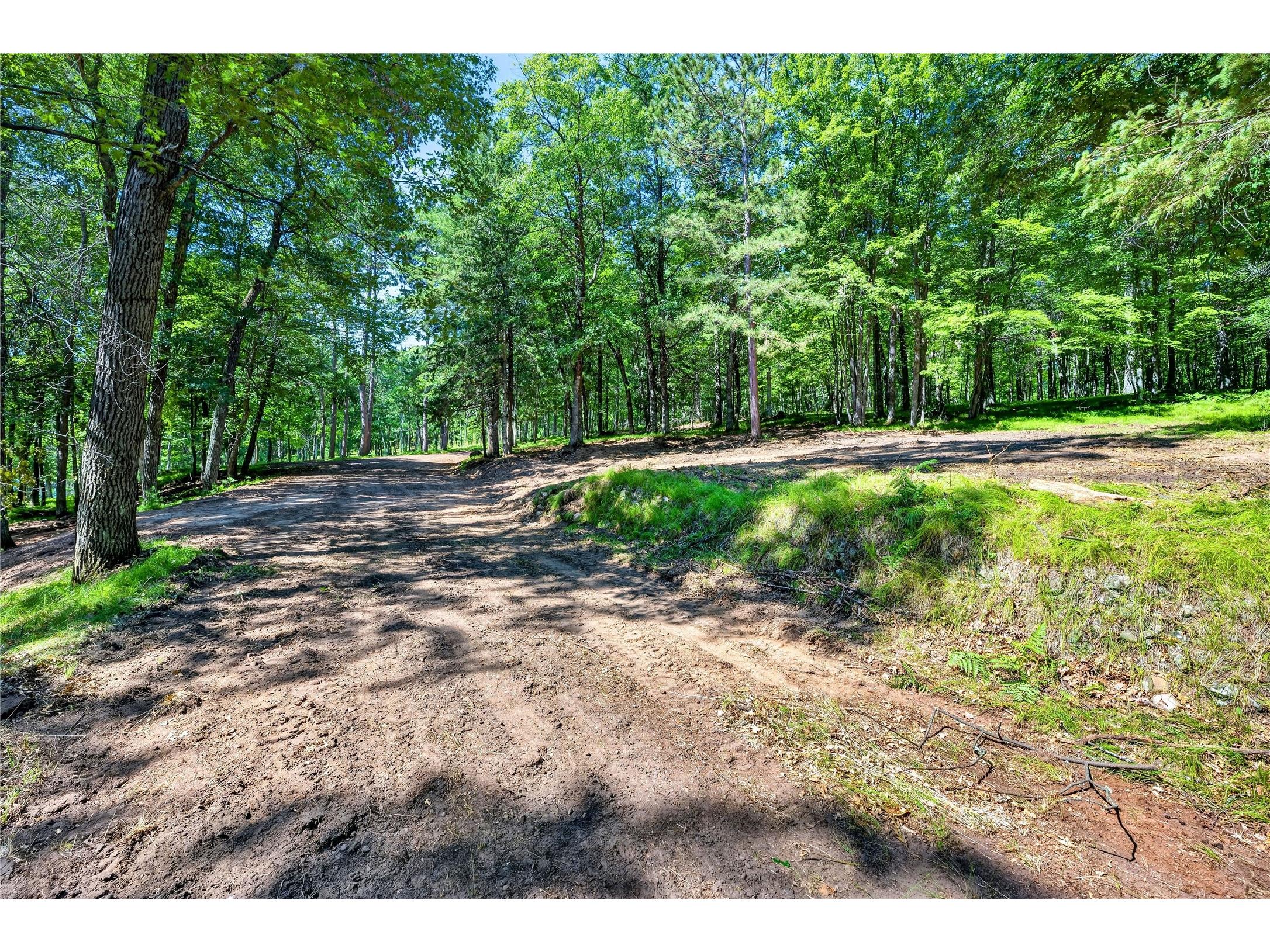51260 Birch Lake Road Barnes WI 54873 - Birch 1603549 image19