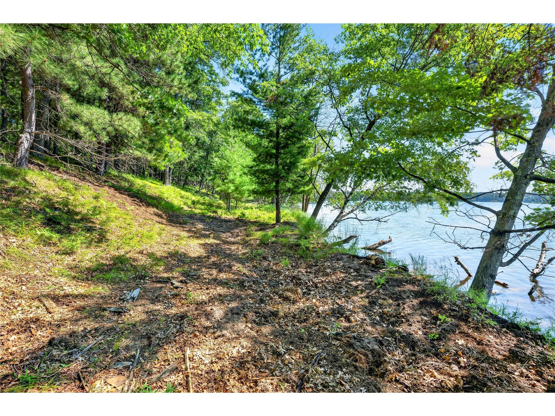 51260 Birch Lake Road Barnes WI 54873 - Birch 1603549 image20