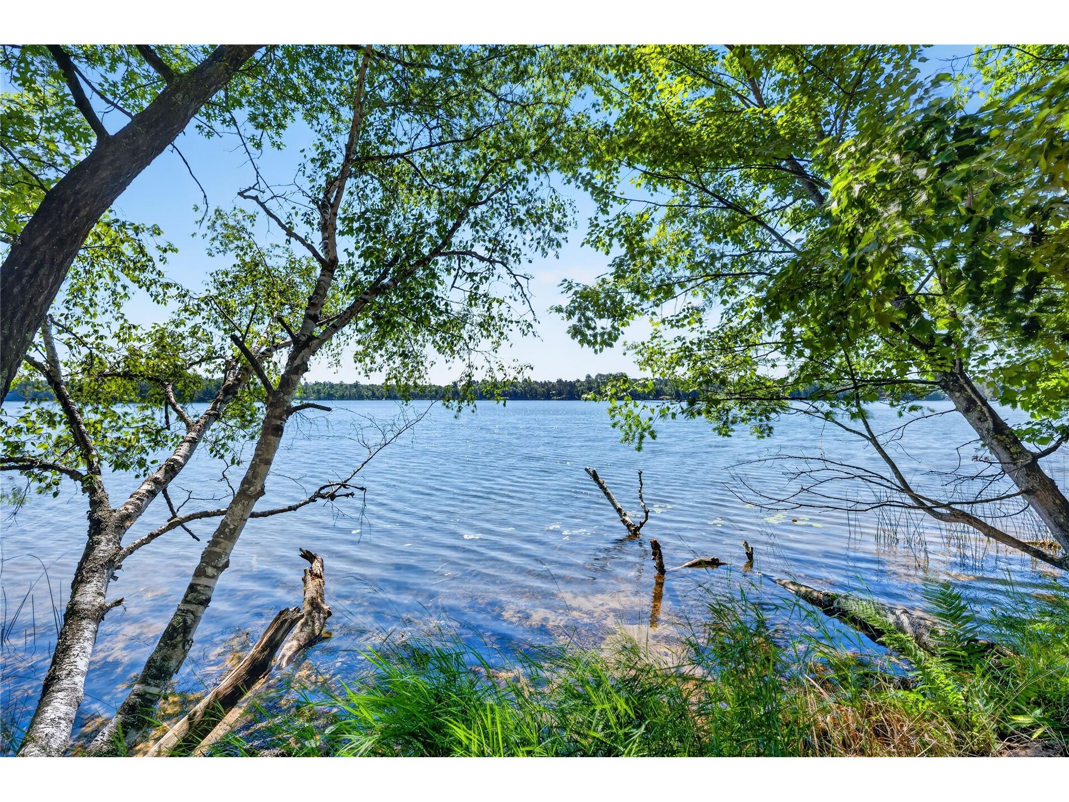 51260 Birch Lake Road Barnes WI 54873 - Birch 1603549 image21