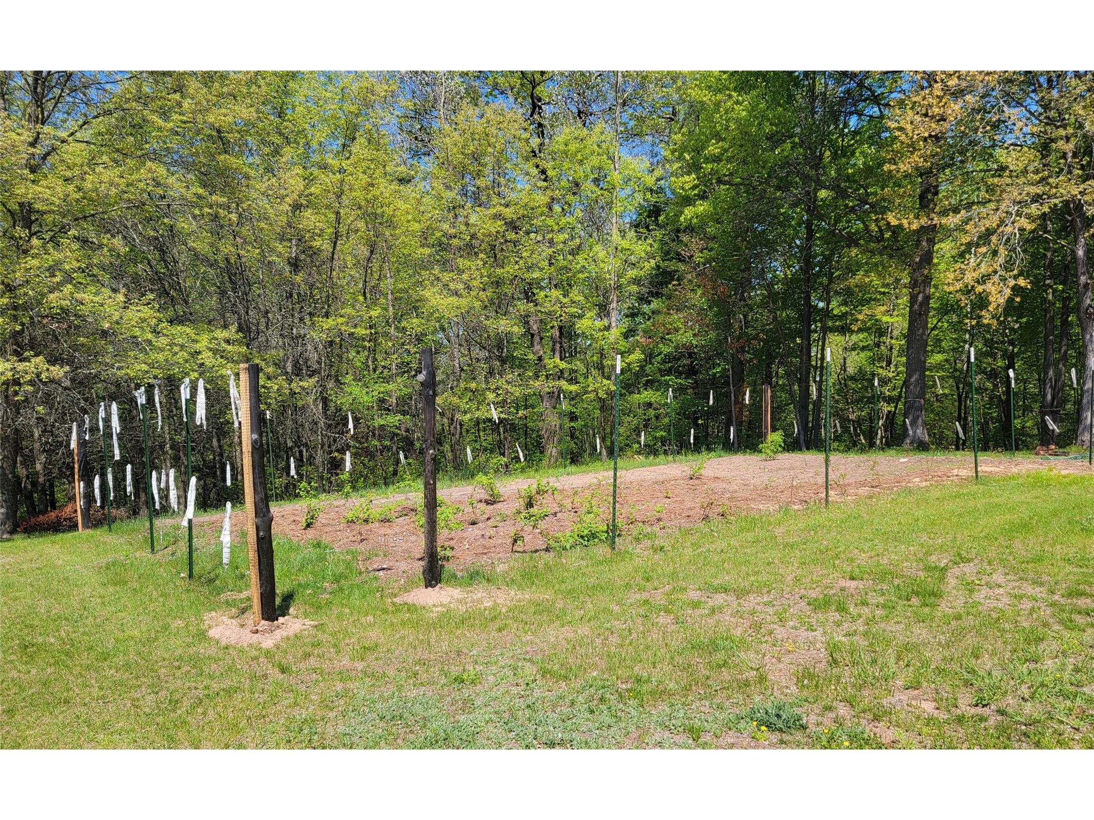5154 County Road X Webster WI 54893 1601788 image27