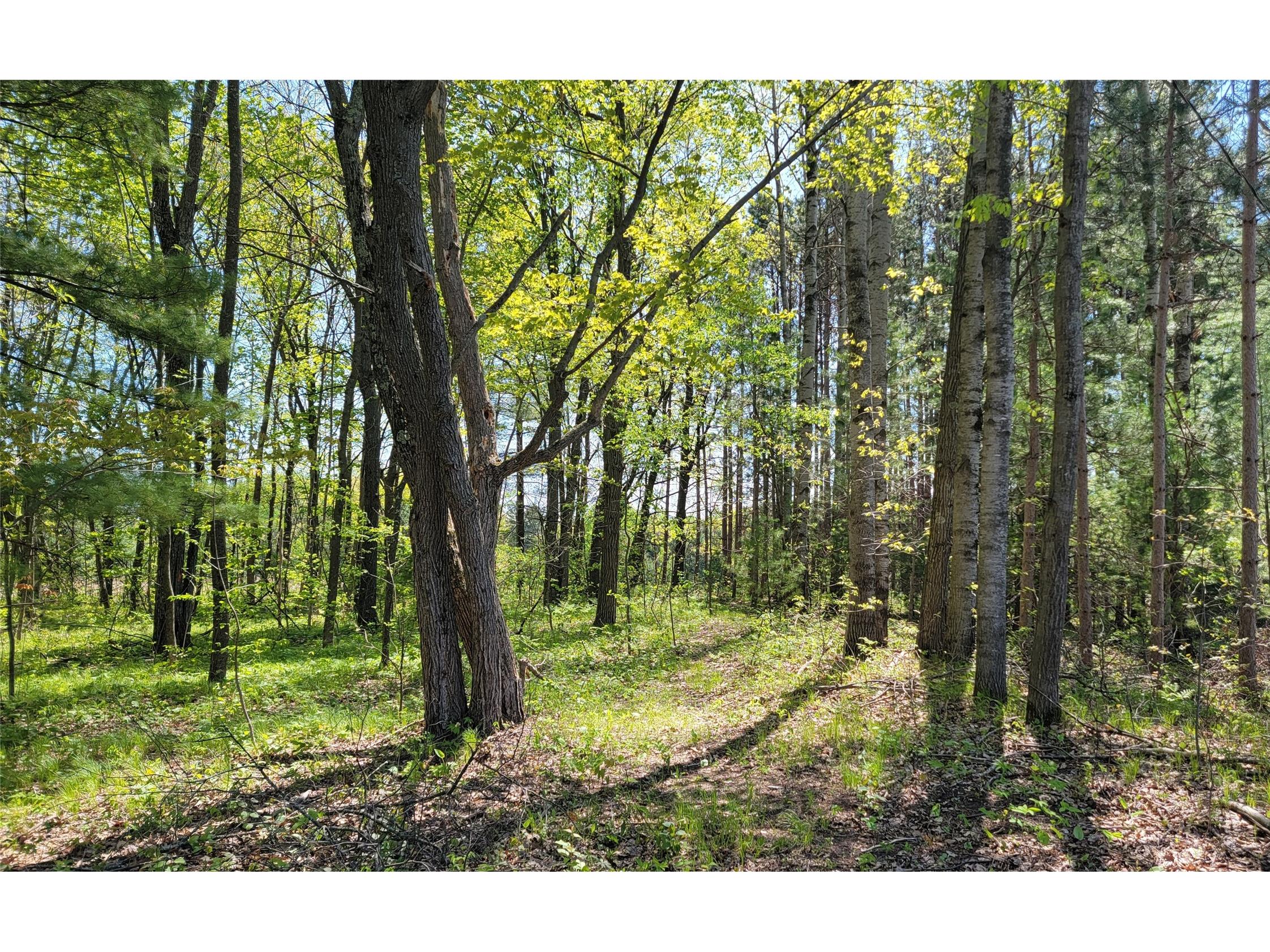 5154 County Road X Webster WI 54893 1601788 image29