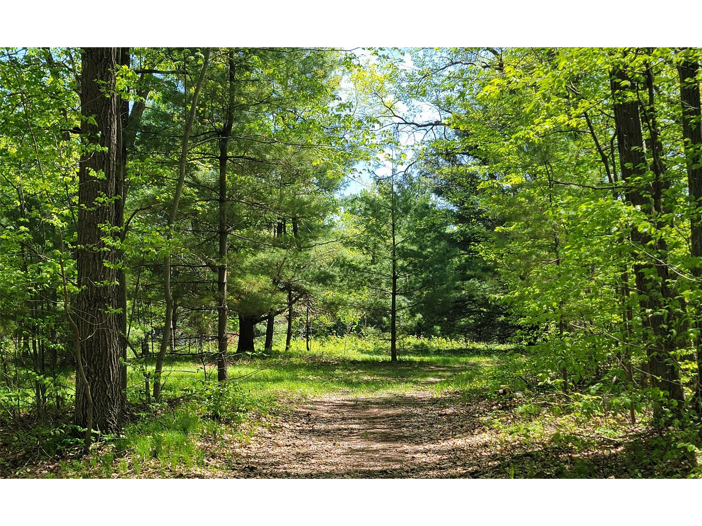 5154 County Road X Webster WI 54896 1601788 image3
