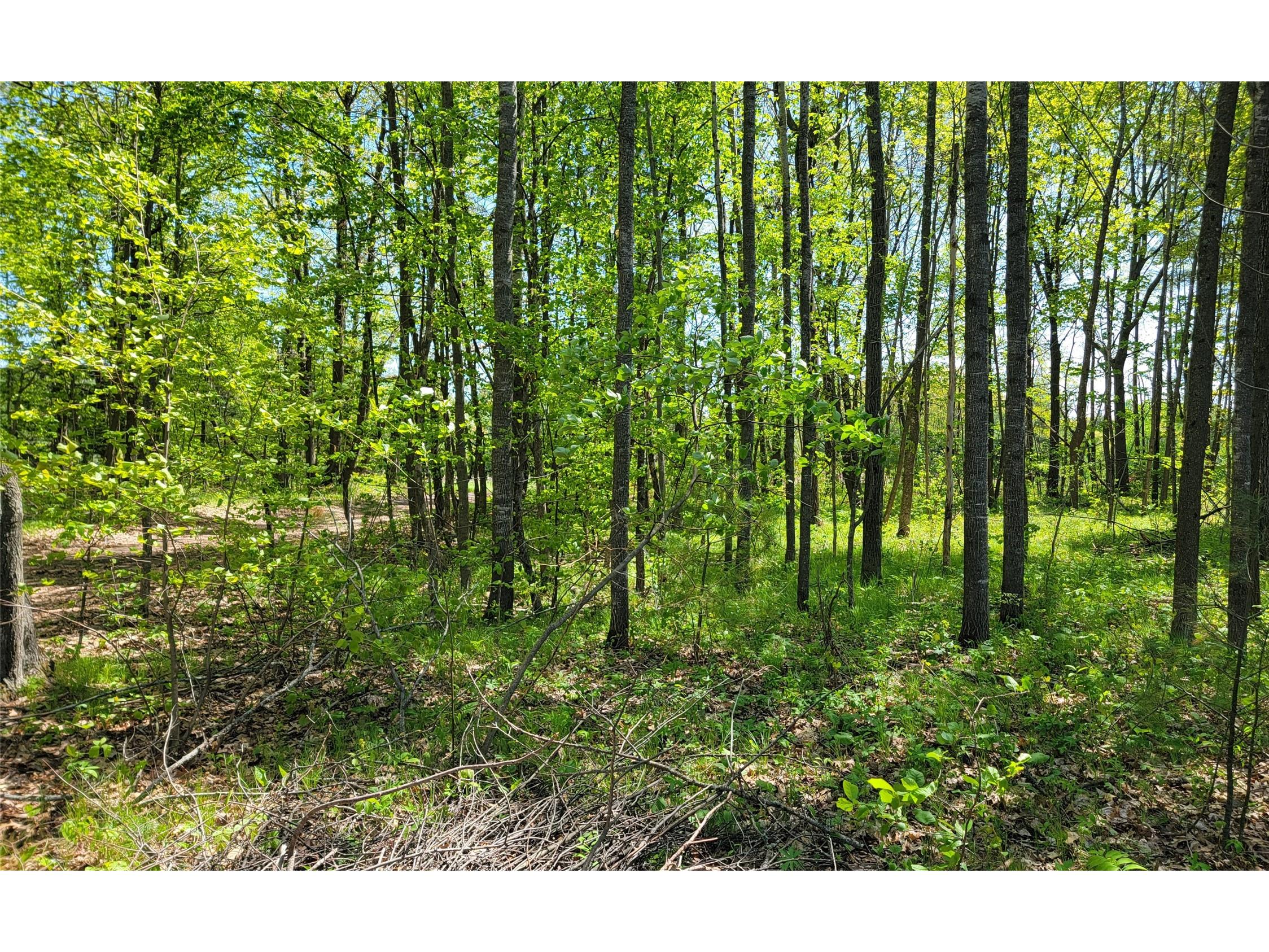 5154 County Road X Webster WI 54896 1601788 image31