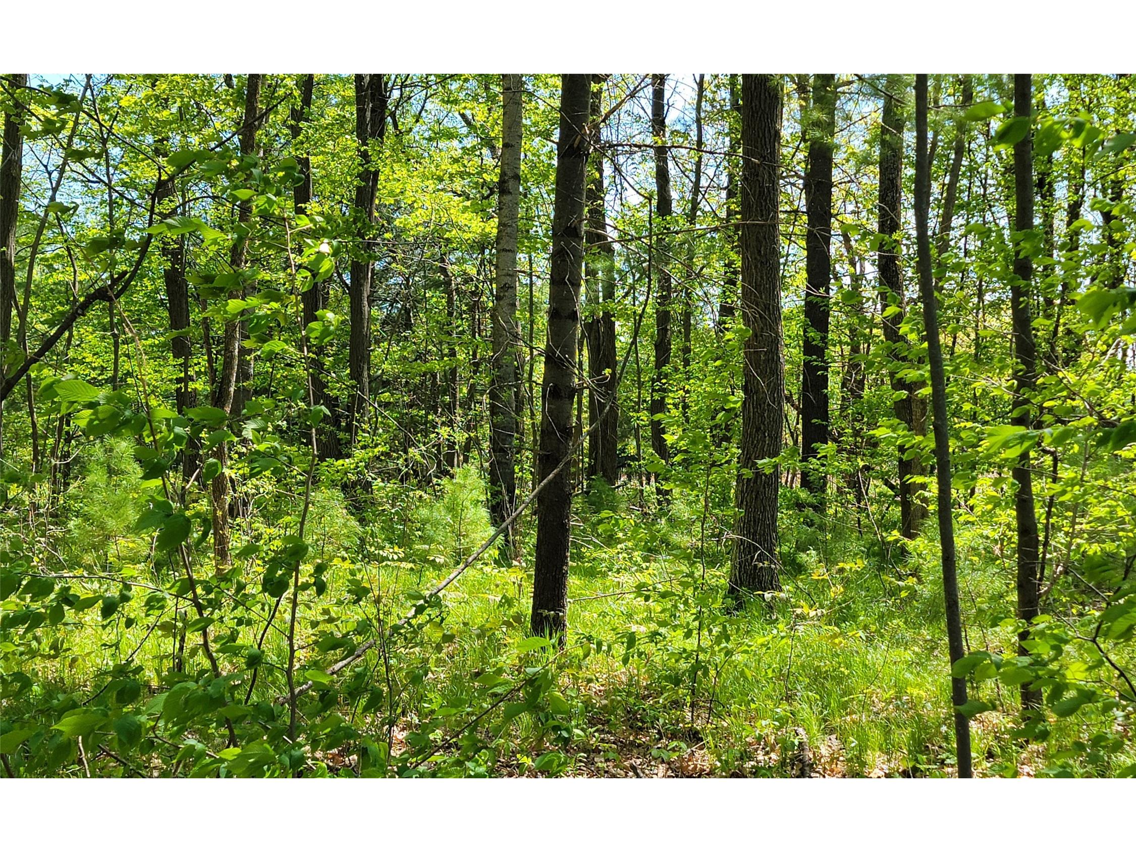 5154 County Road X Webster WI 54896 1601788 image32