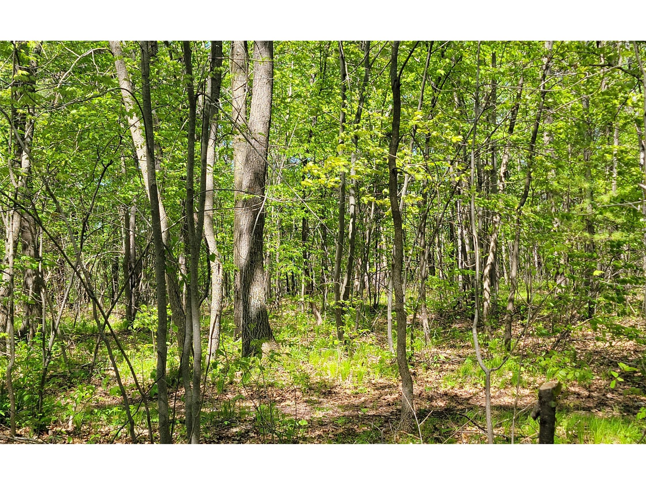 5154 County Road X Webster WI 54896 1601788 image33