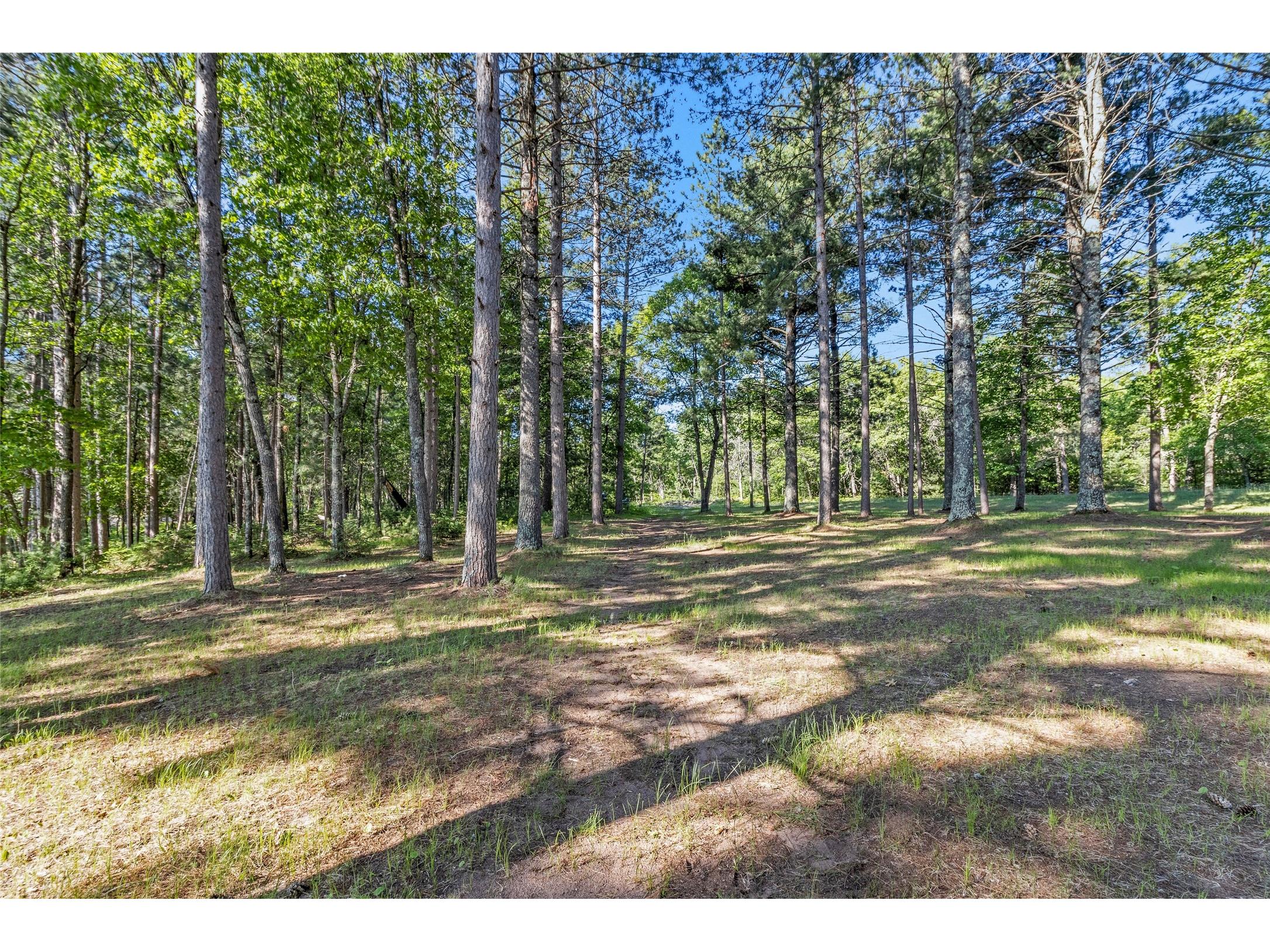 51690 Birch Lake Road Barnes WI 54873 - Robinson 1602031 image9