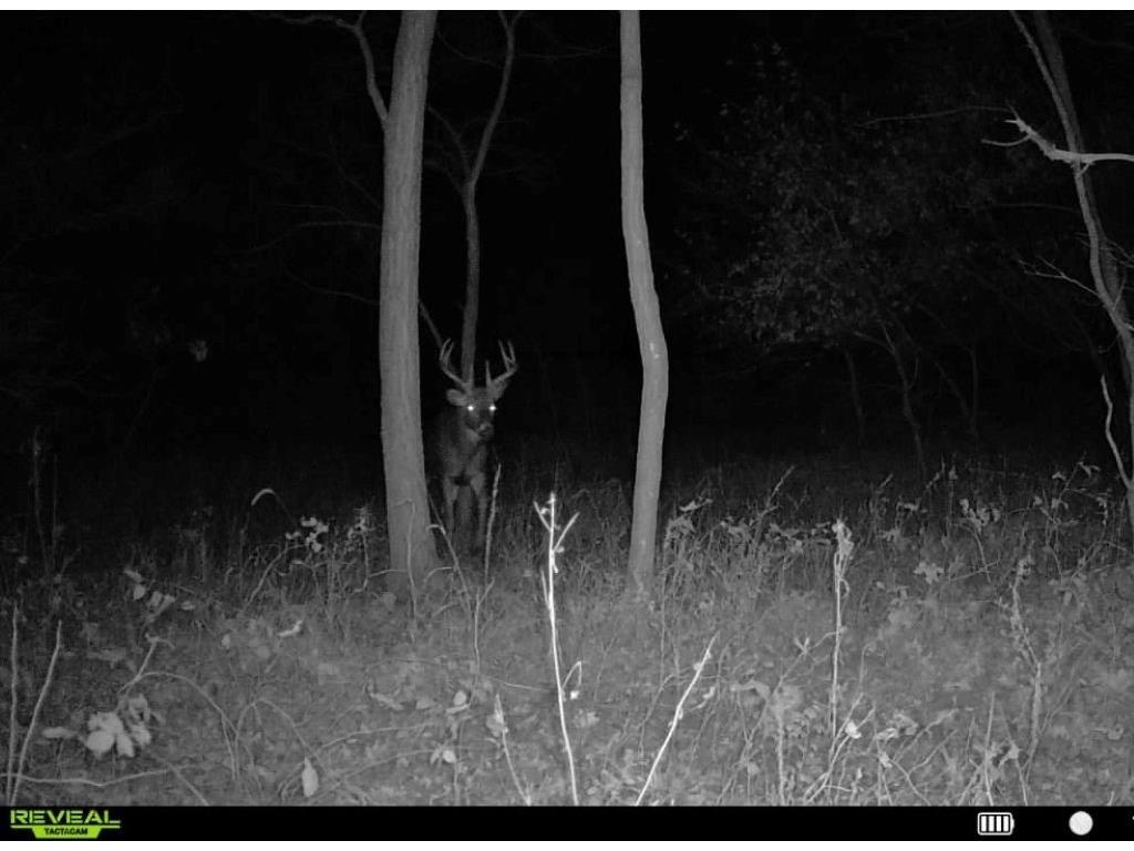 518 E Pine Street Strum WI 54770 1596972 image28