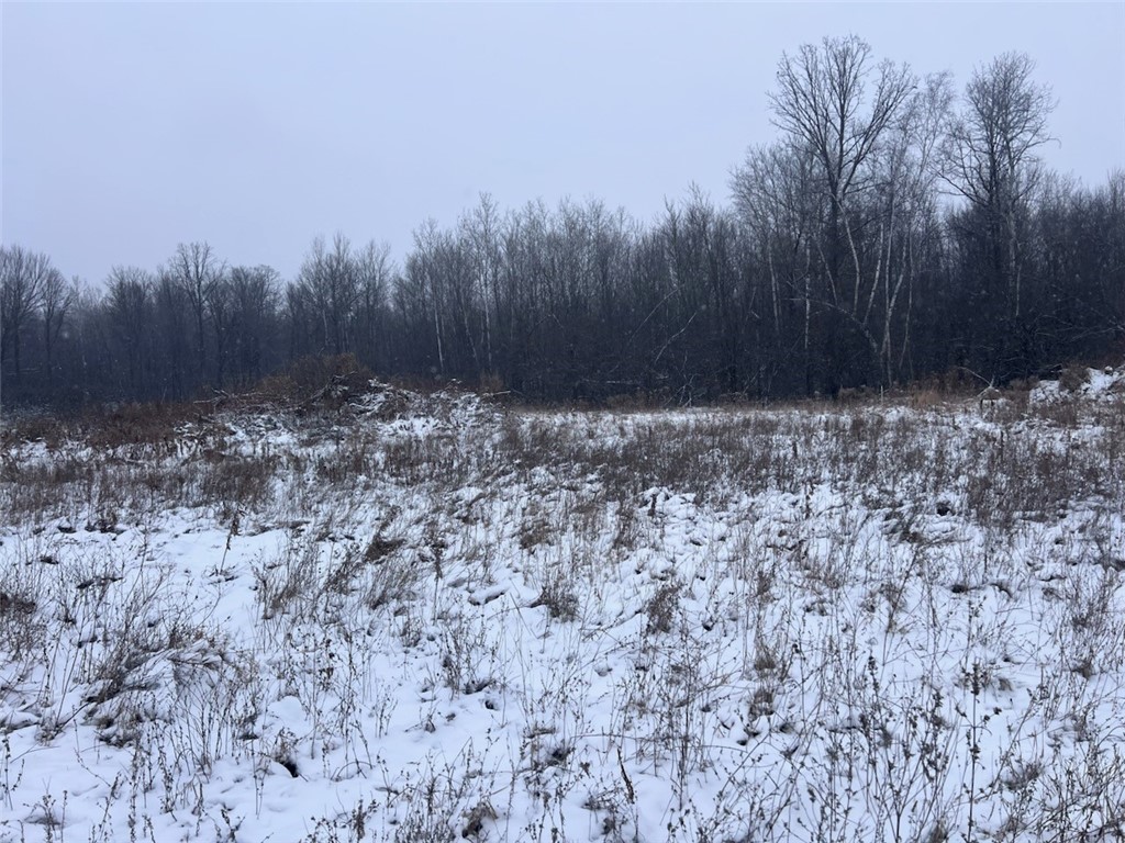 52 40th Street Clear Lake WI 54005 1597456 image9