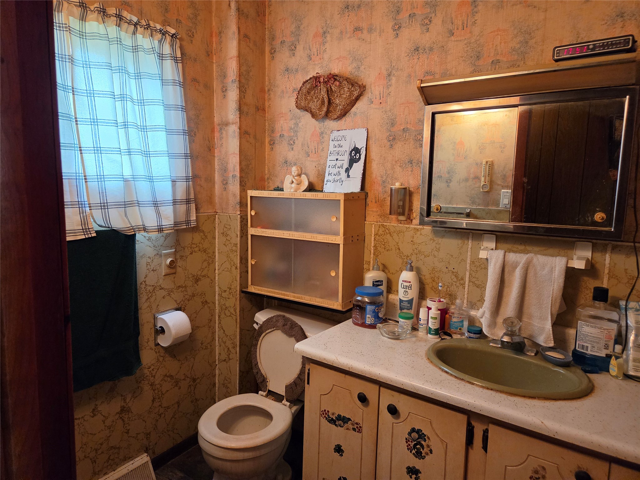 521 Albion Street Cashton WI 54619 1602038 image19