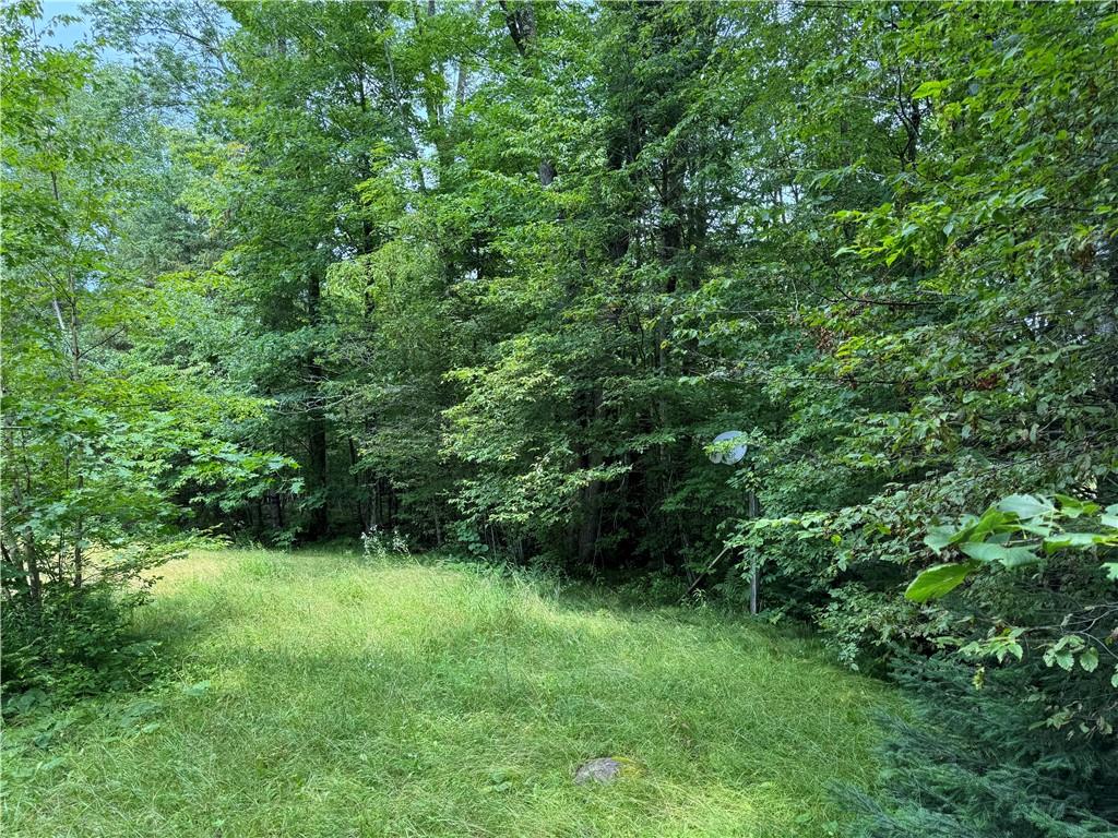 5217 N Tower Road Winter WI 54896 1584161 image1