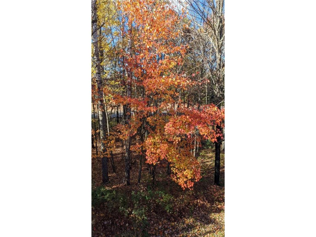 5267 County Road A Webster WI 54893 1596887 image54