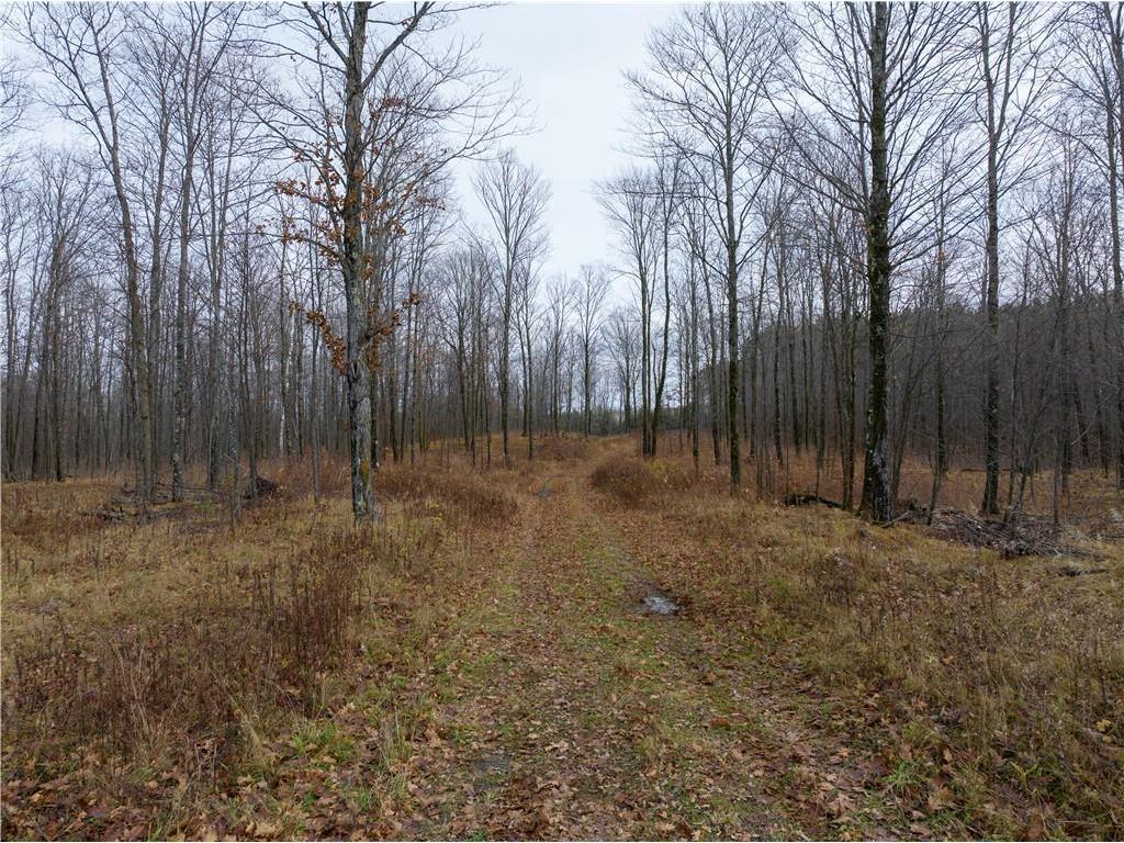 53 acres Otto Olson Road & County Hwy D Grand View WI 54839 1587190 image1