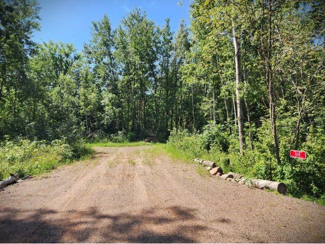 530 335th Avenue Frederic WI 54837 1591610 image1