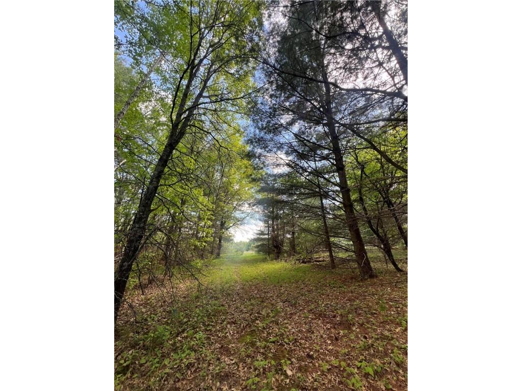 5304 Gaslyn Road Webster WI 54893 - POND 1592145 image1