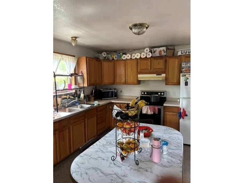 531 E Main Street #1 & 2 Arcadia WI 54612 1602987 image10