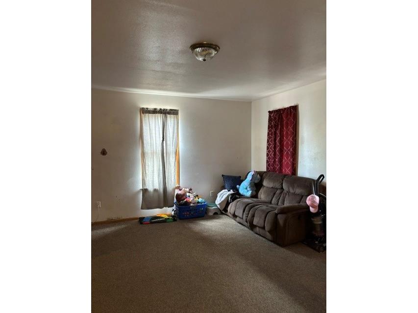 531 E Main Street #1 & 2 Arcadia WI 54612 1602987 image16