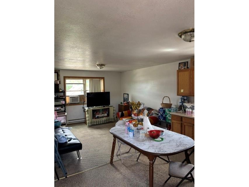 531 E Main Street #1 & 2 Arcadia WI 54612 1602987 image8
