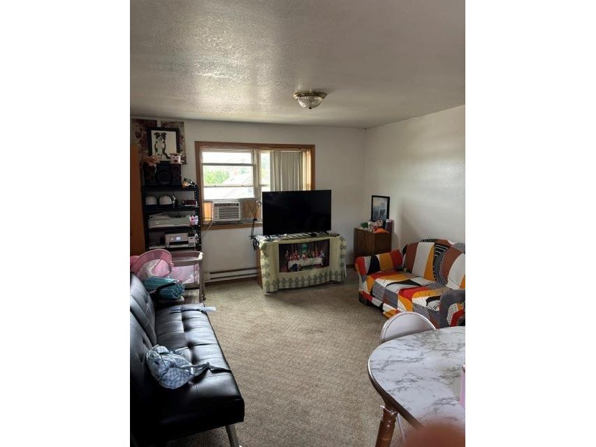 531 E Main Street #1 & 2 Arcadia WI 54612 1602987 image9