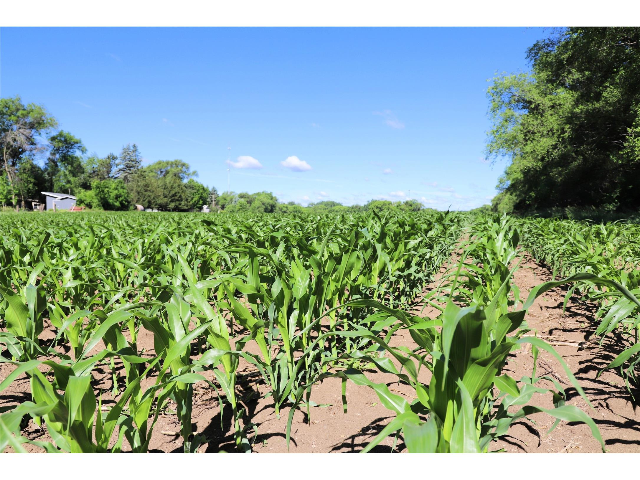 5320 County Road 6 Other MN 56301 1602329 image10