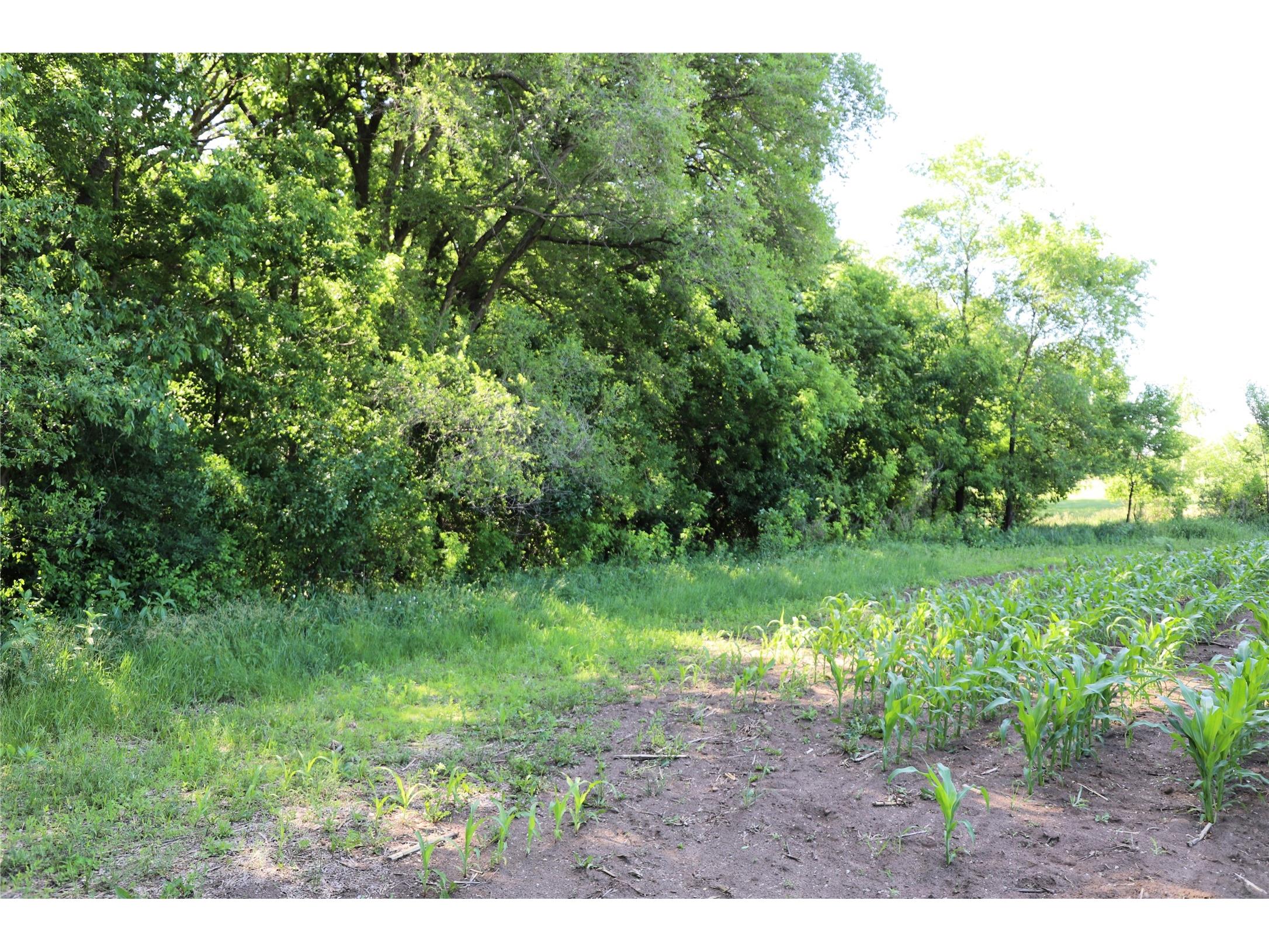 5320 County Road 6 Other MN 56301 1602329 image11