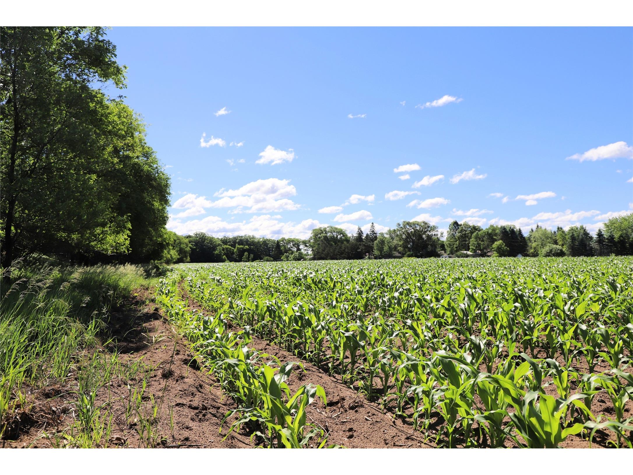 5320 County Road 6 Other MN 56301 1602329 image14
