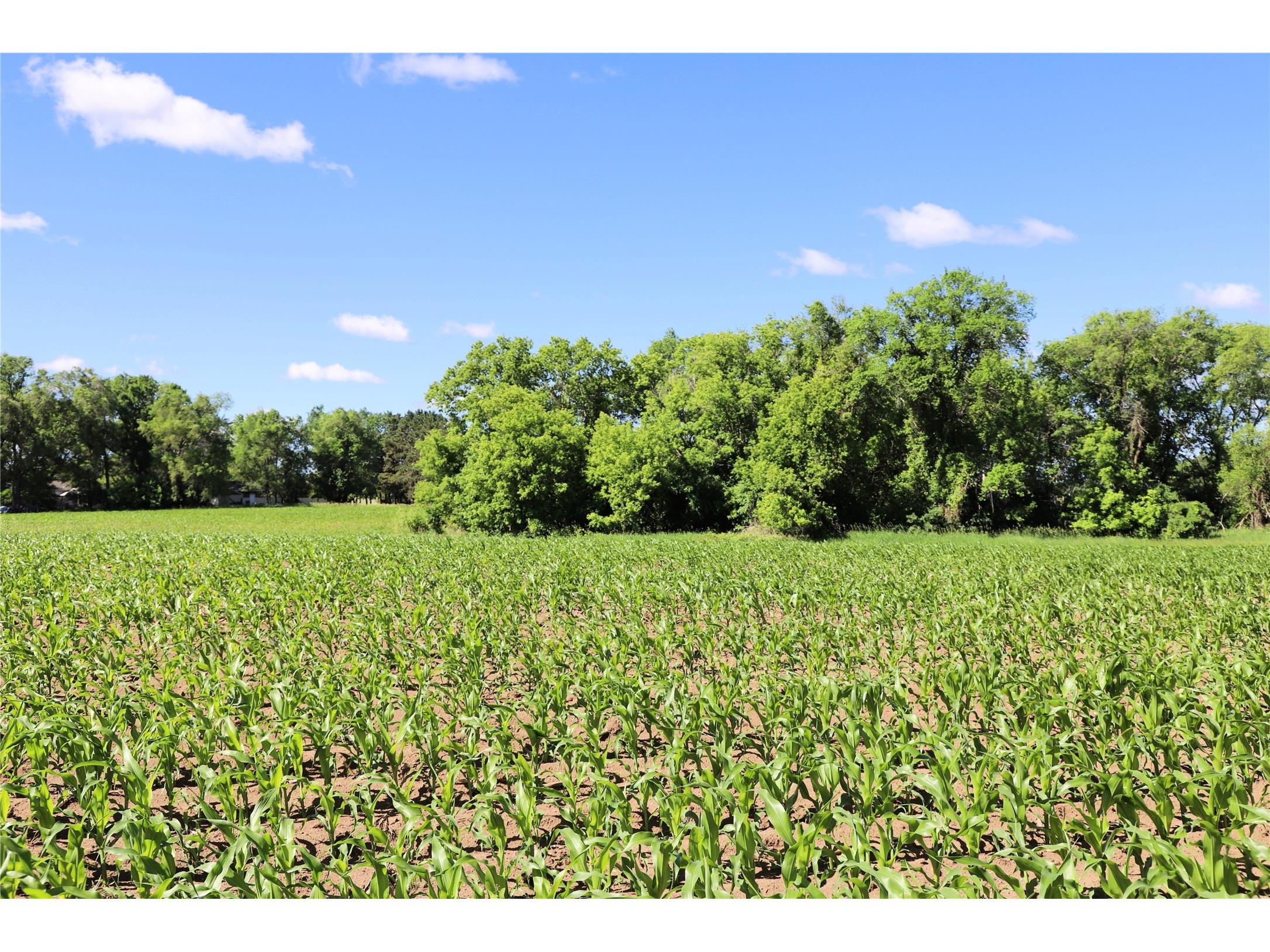 5320 County Road 6 Other MN 56301 1602329 image15