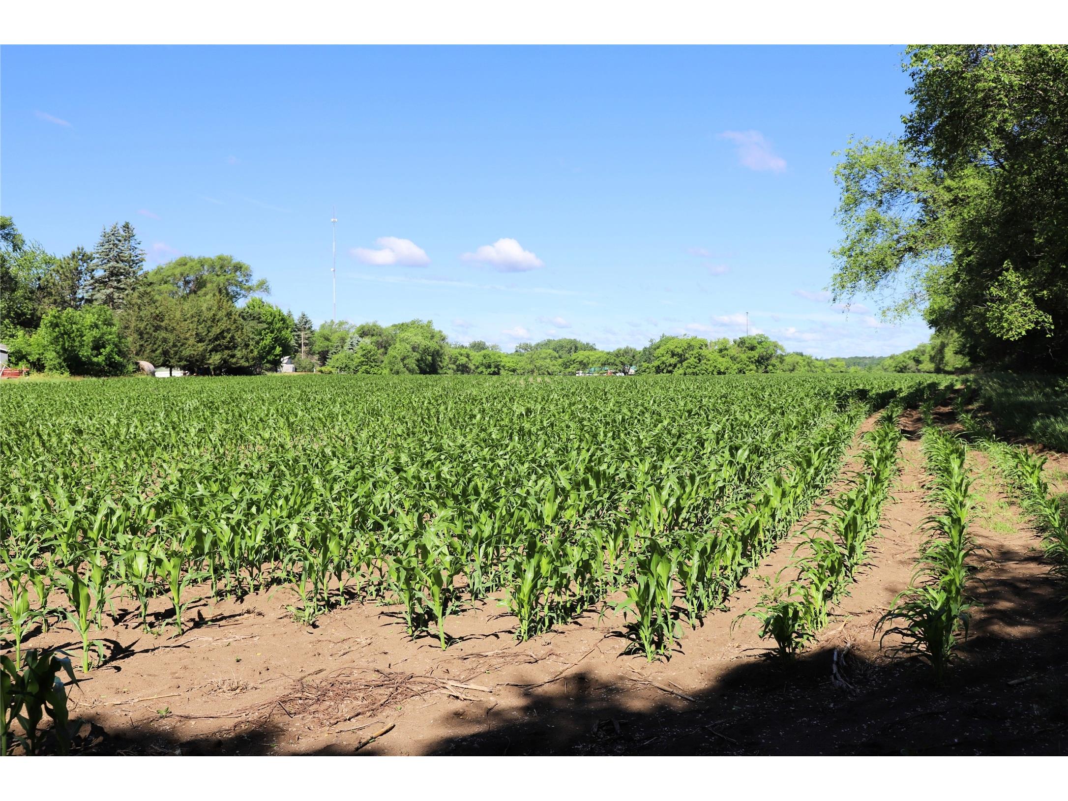 5320 County Road 6 Other MN 56301 1602329 image9