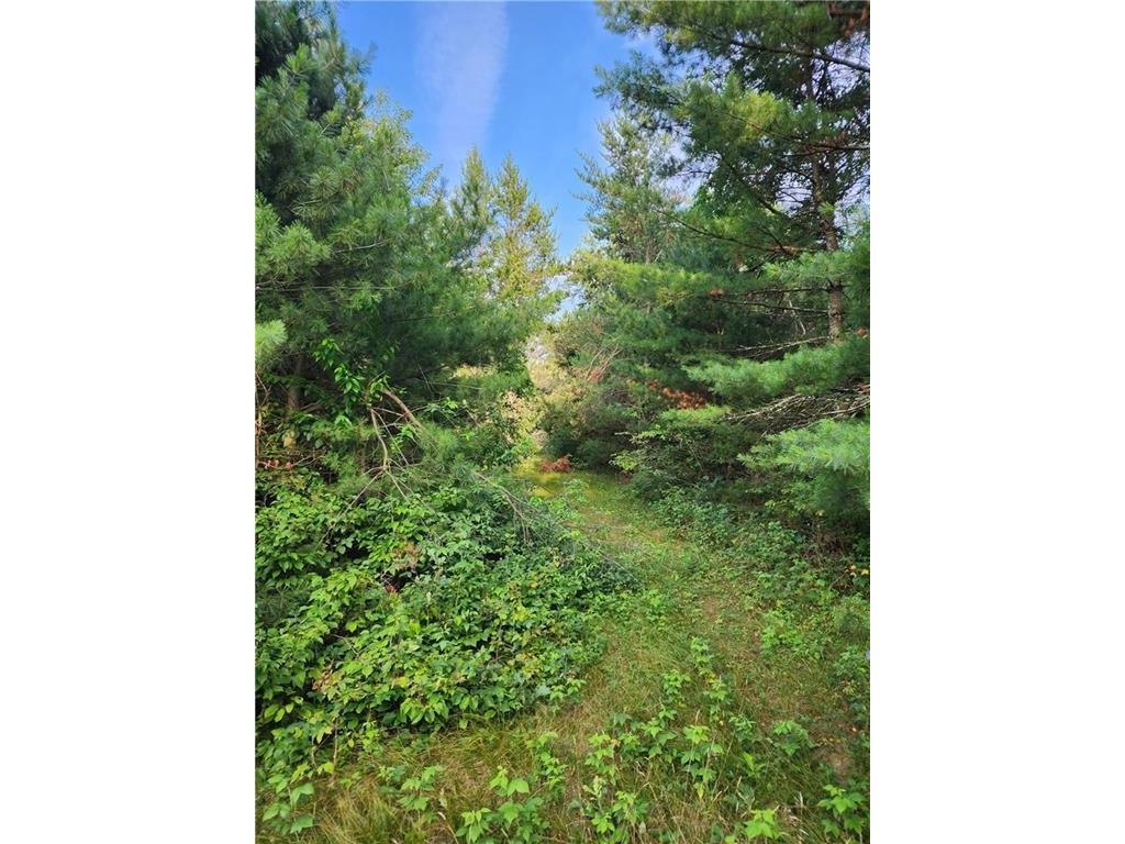 5500 County Highway I Sparta WI 54656 1596821 image10