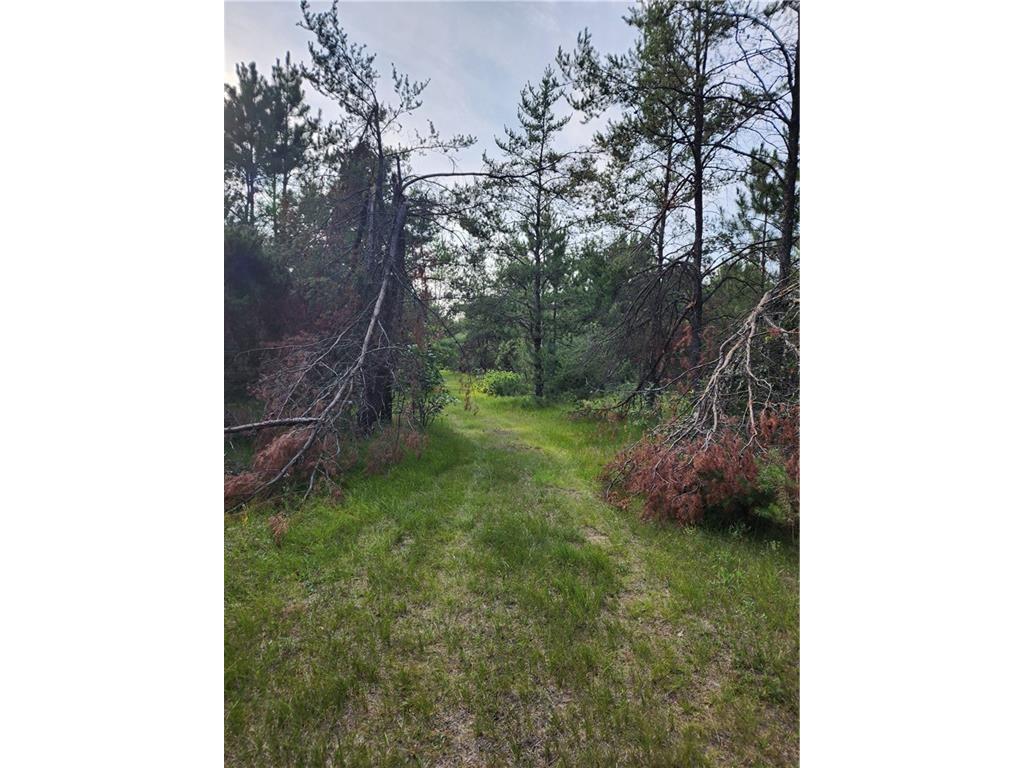 5500 County Highway I Sparta WI 54656 1596821 image13