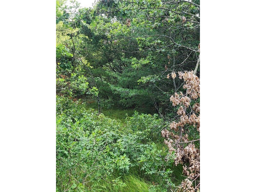 5500 County Highway I Sparta WI 54656 1596821 image20