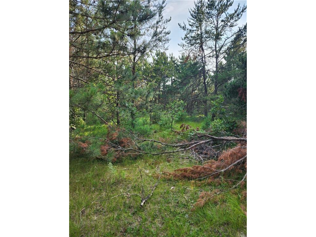 5500 County Highway I Sparta WI 54656 1596821 image29