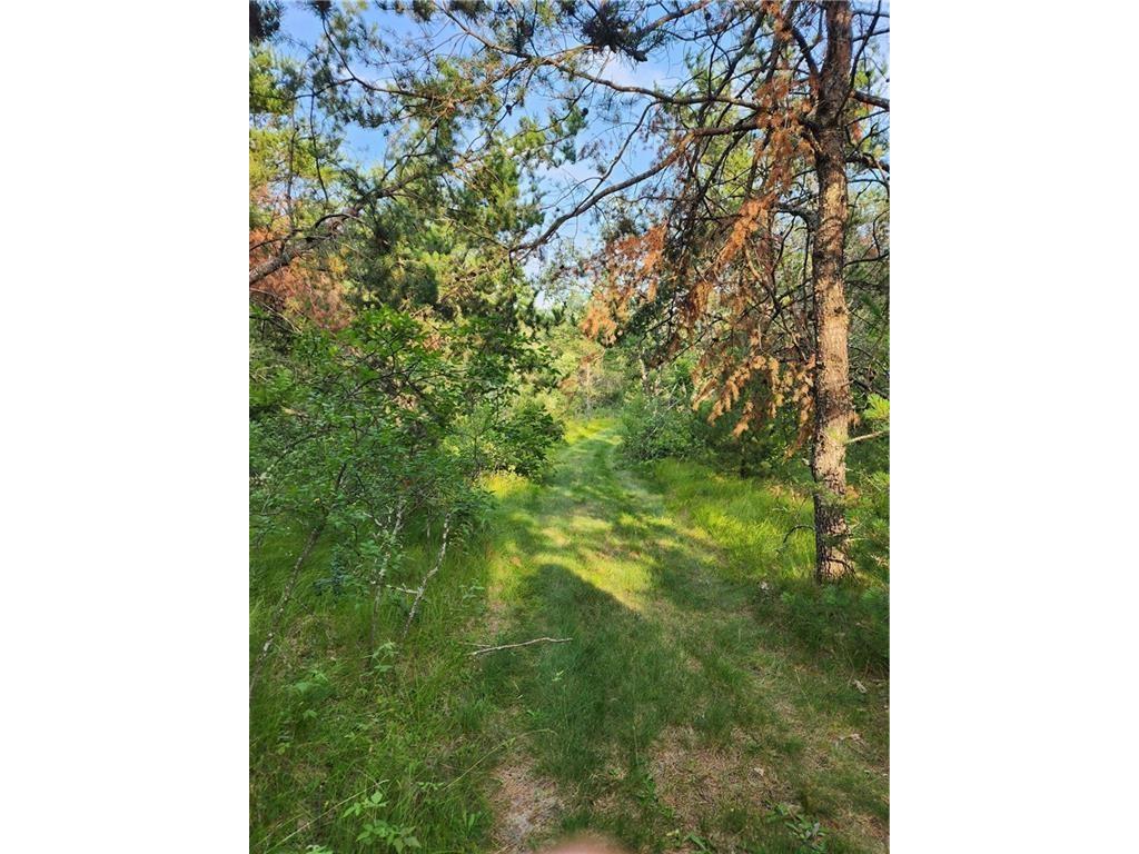 5500 County Highway I Sparta WI 54656 1596821 image32