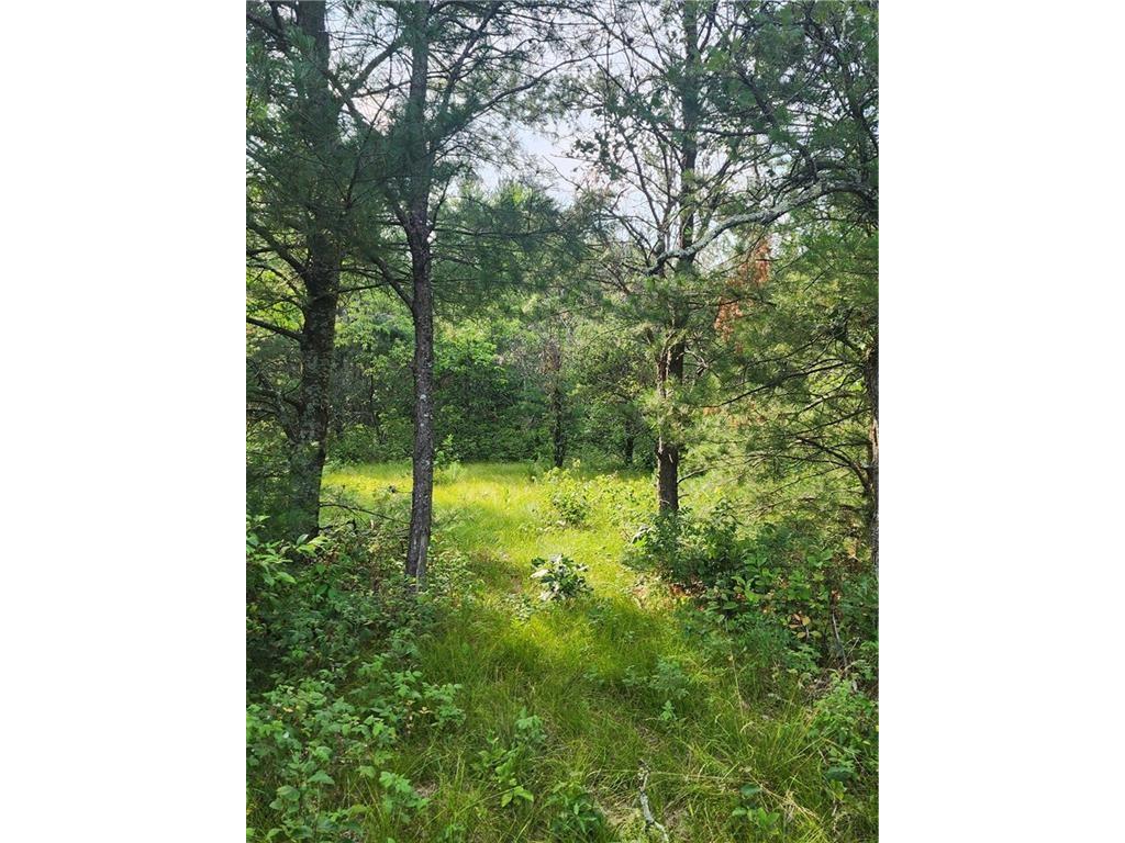 5500 County Highway I Sparta WI 54656 1596821 image4