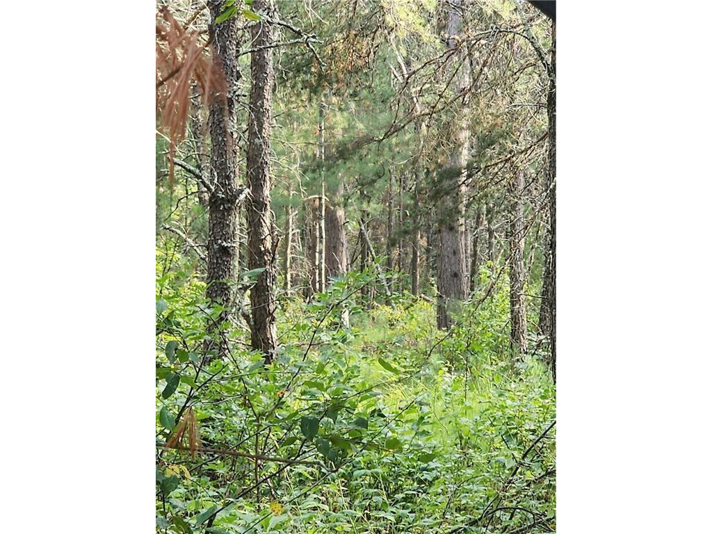 5500 County Highway I Sparta WI 54656 1596821 image6