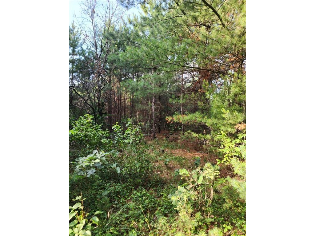 5500 County Highway I Sparta WI 54656 1596821 image7