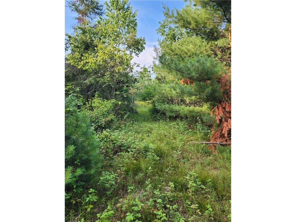 5500 County Highway I Sparta WI 54656 1596821 image9