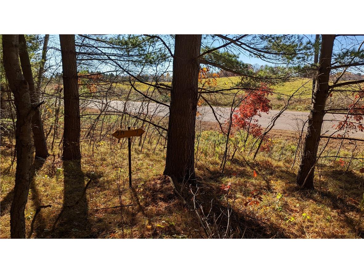 5505 N Ham Holly Drive Stone Lake WI 54876 1596723 image28