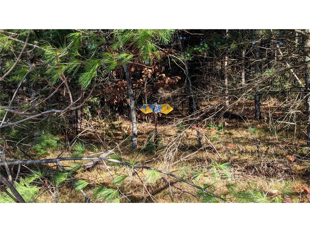 5505 N Ham Holly Drive Stone Lake WI 54876 1596723 image29