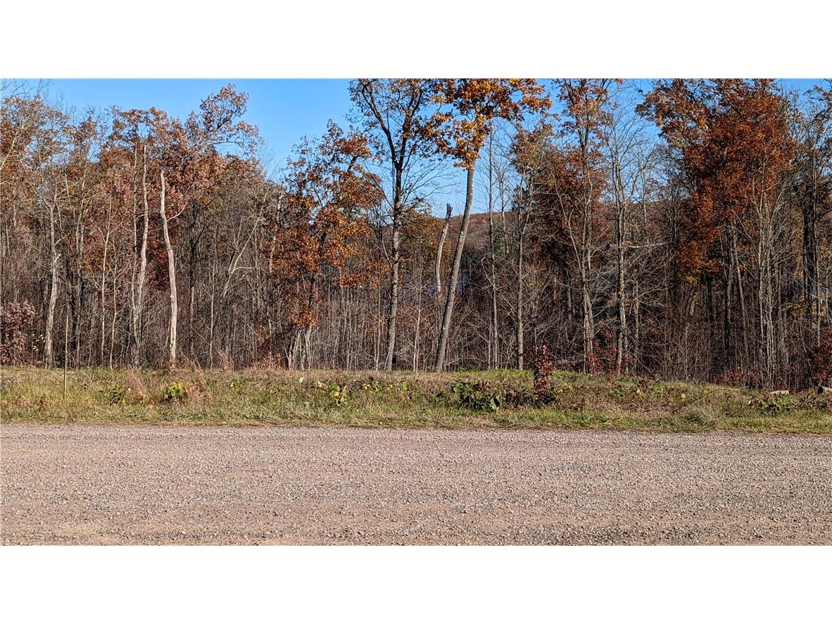 5505 N Ham Holly Drive Stone Lake WI 54876 1596723 image31