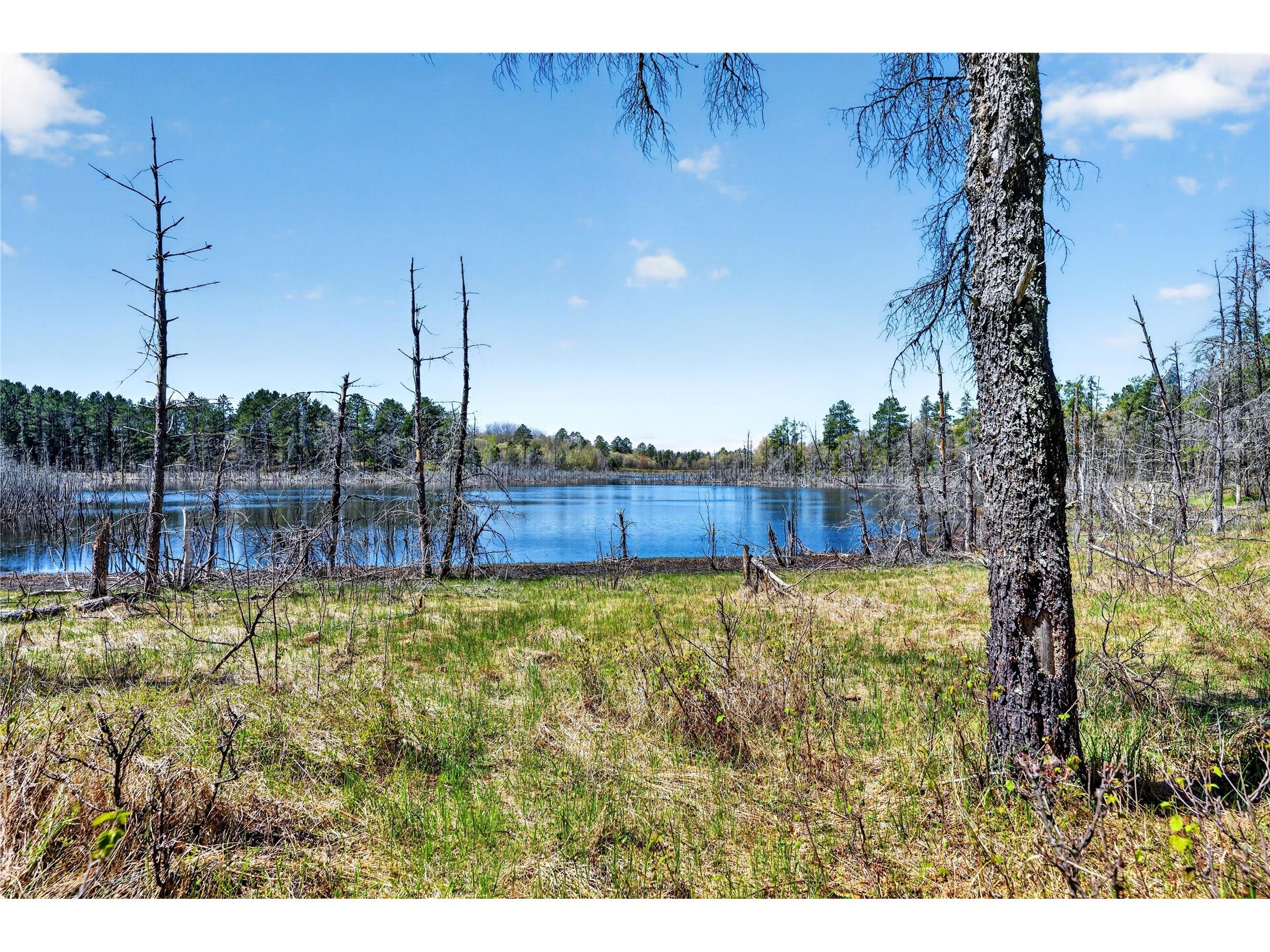 55065 Silverwolf Drive Barnes WI 54873 - Hay 1601525 image14