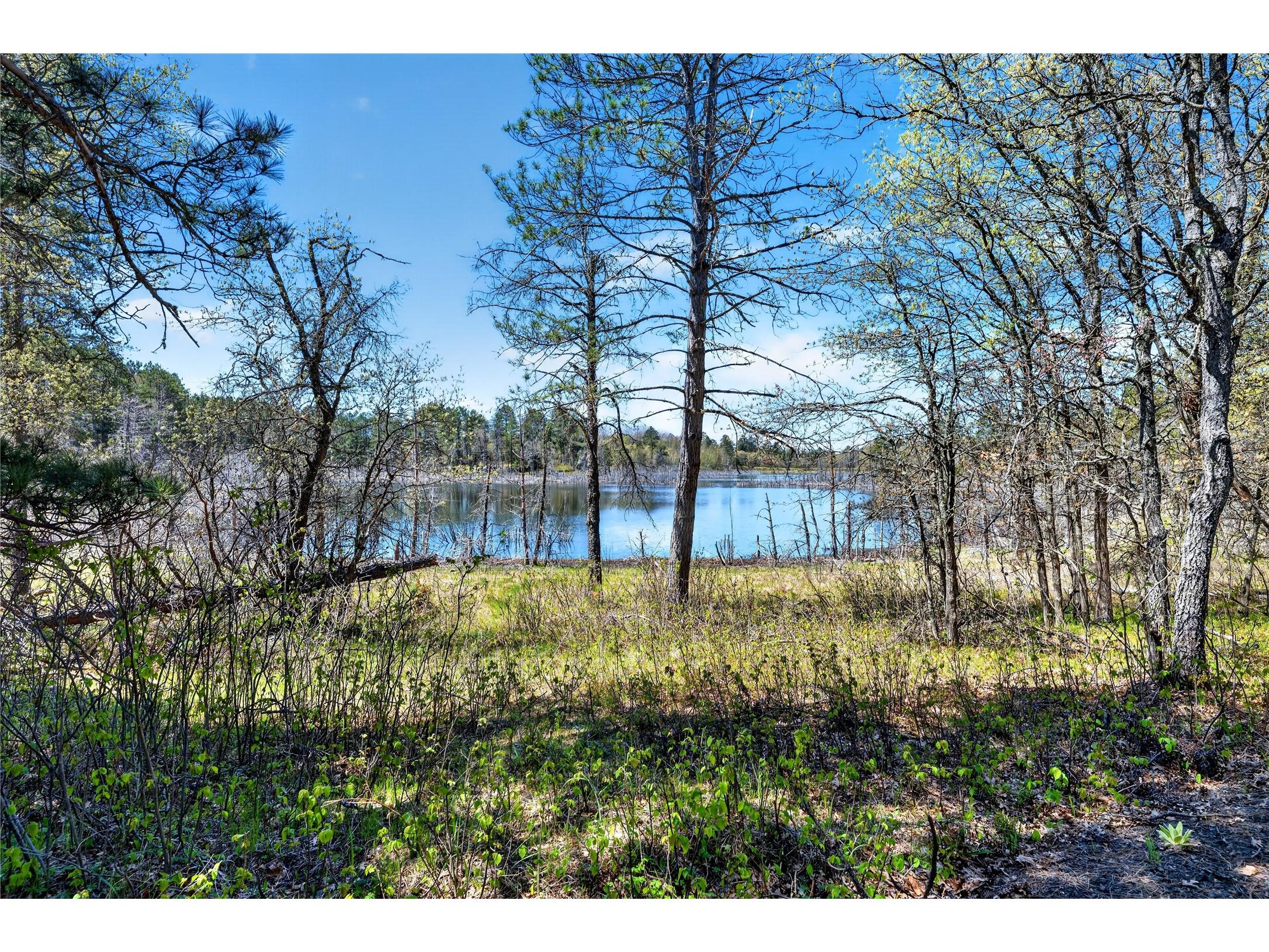 55065 Silverwolf Drive Barnes WI 54873 - Hay 1601525 image19