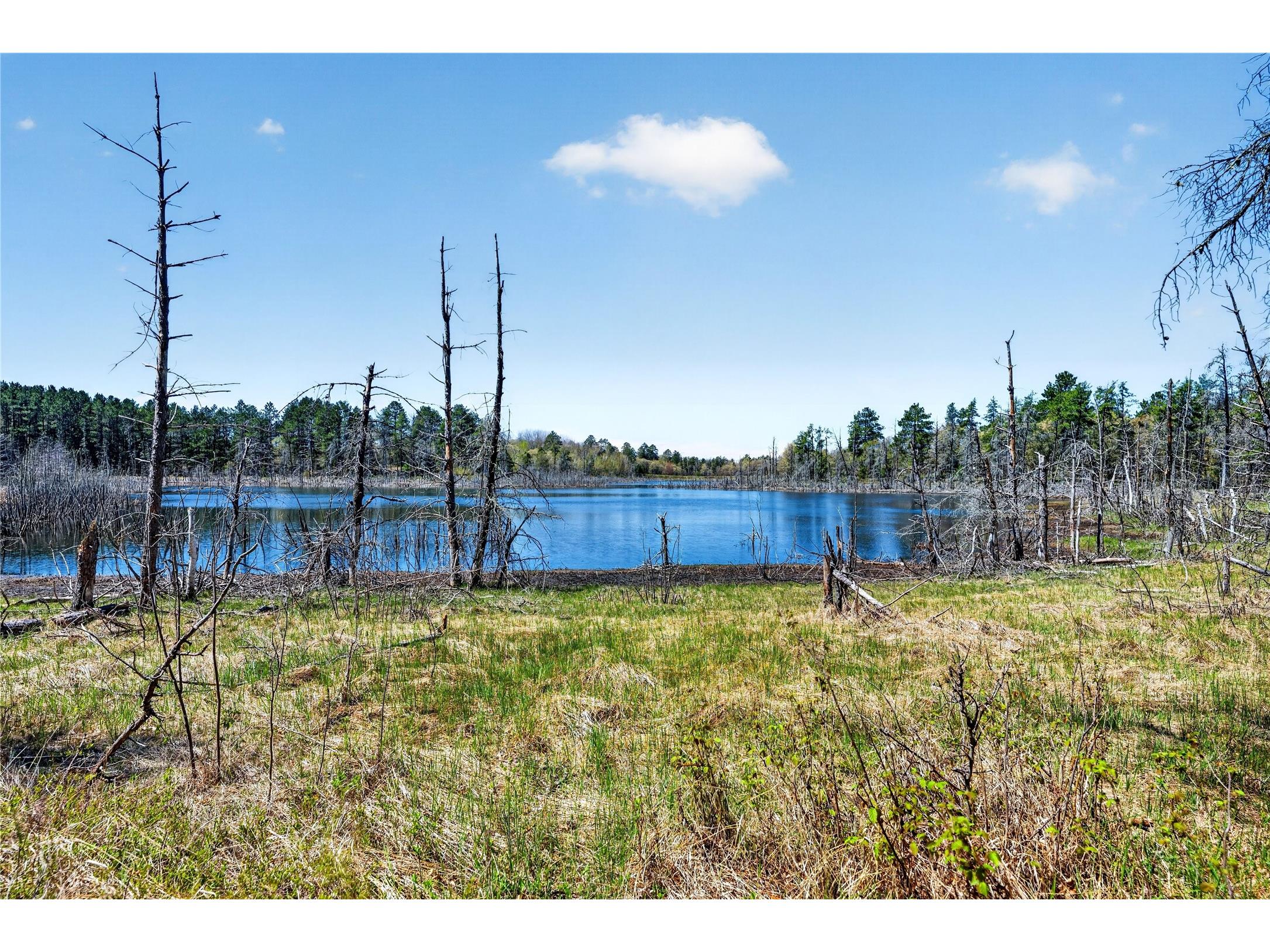 55065 Silverwolf Drive Barnes WI 54873 - Hay 1601525 image3