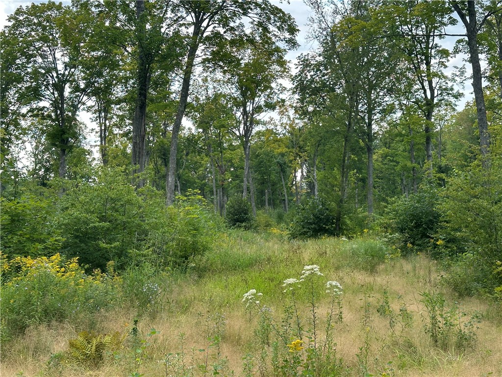 559.02 Acres Hwy T Dairyland WI 54830 1579404 image1