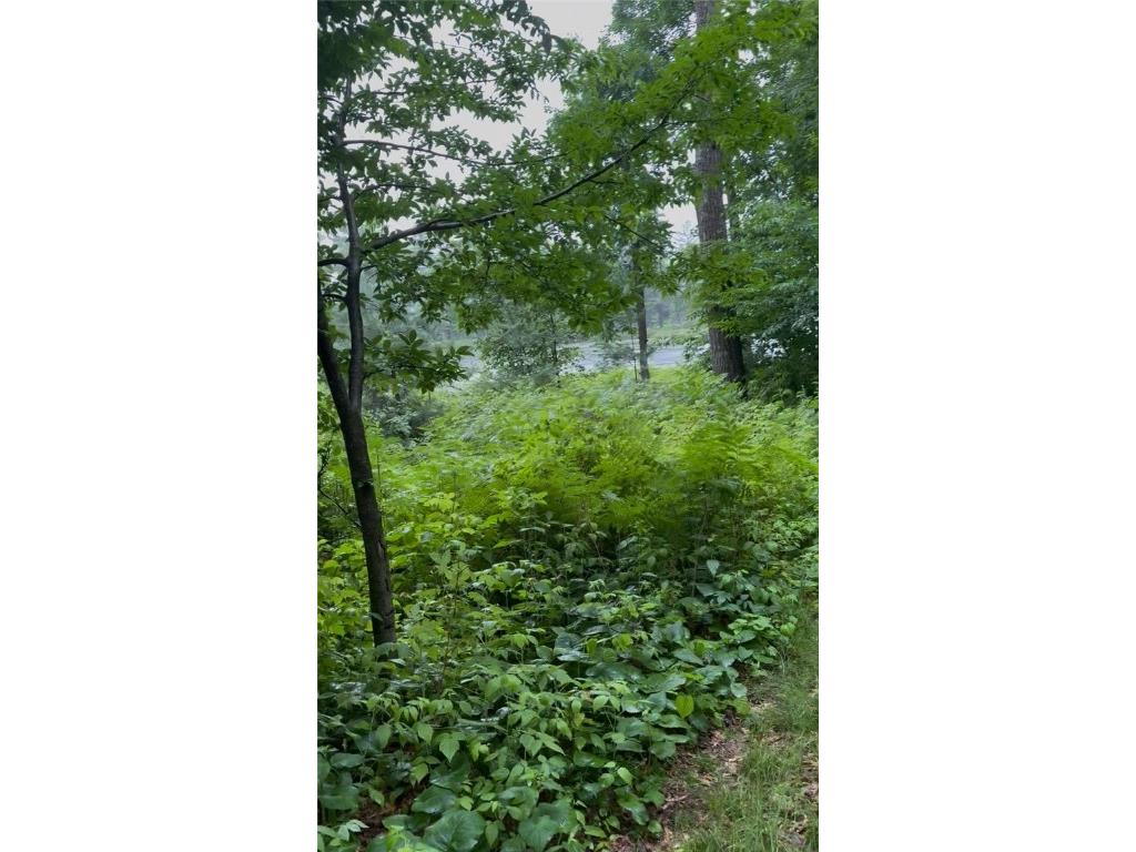 56 11 1/8 Avenue Cameron WI 54822 - Prairie 1596640 image12