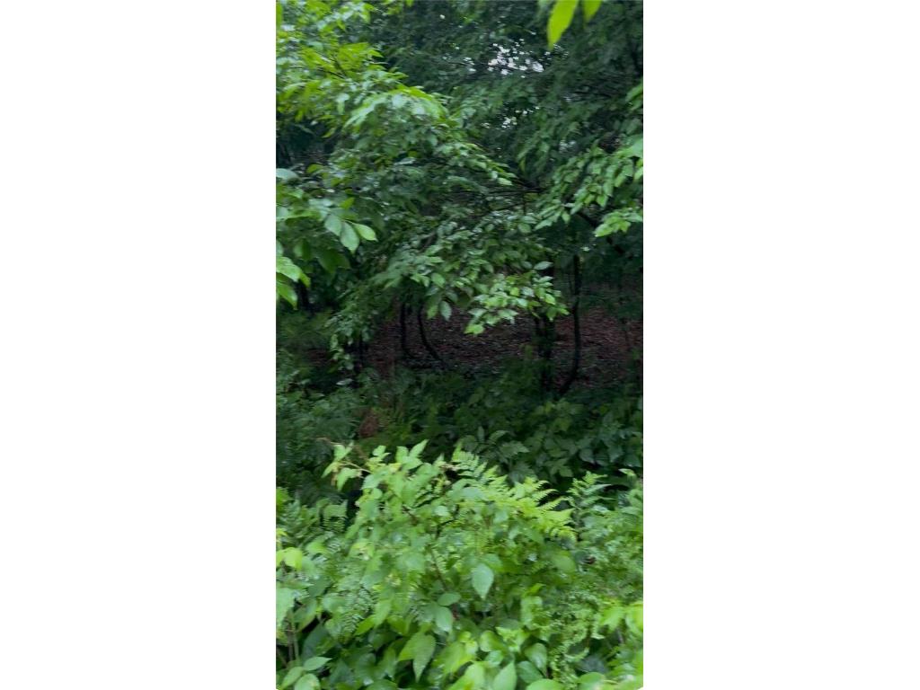 56 11 1/8 Avenue Cameron WI 54822 - Prairie 1596640 image8