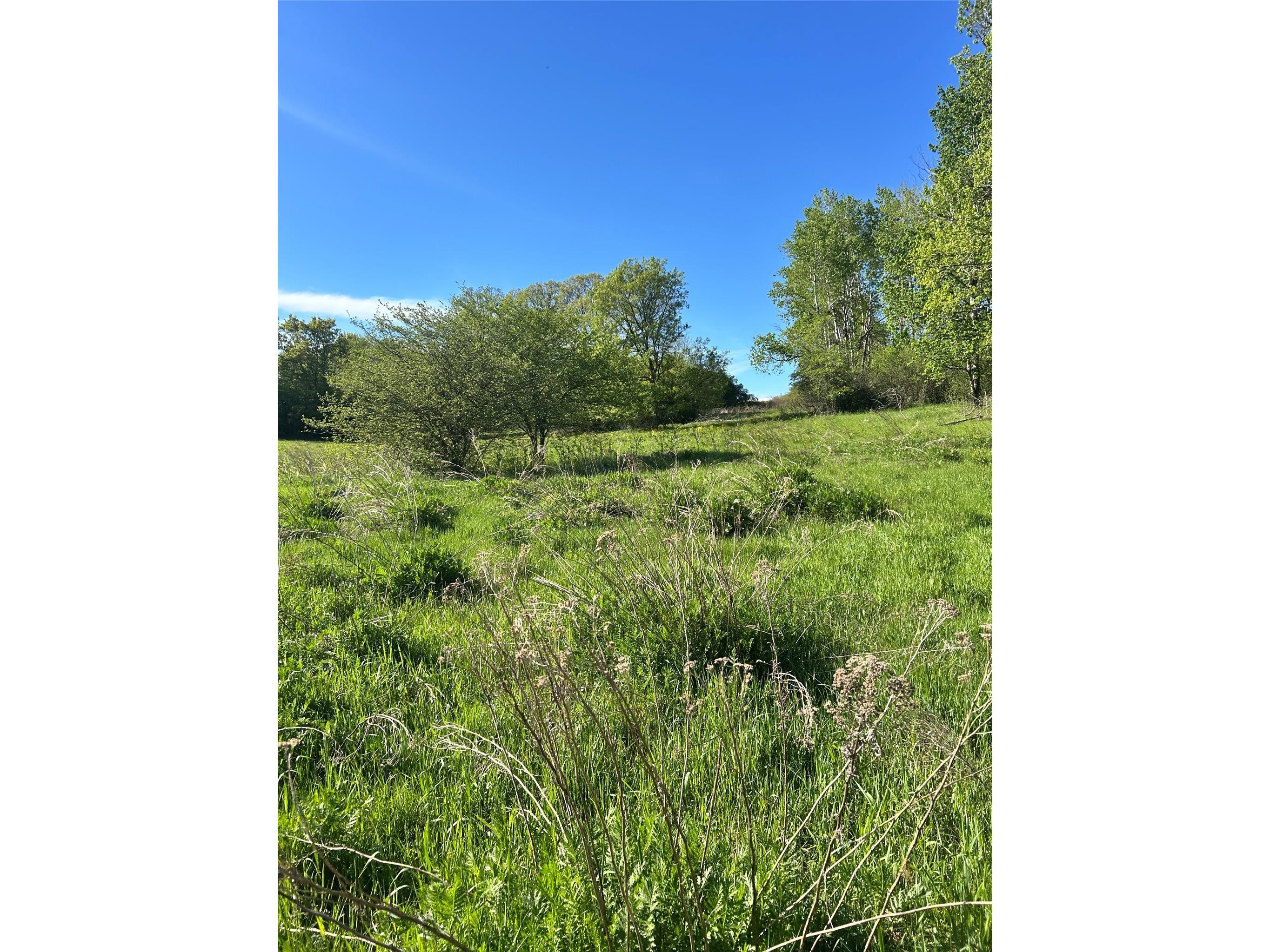 56.889 acres Shale Avenue N Dallas WI 54733 1601418 image10