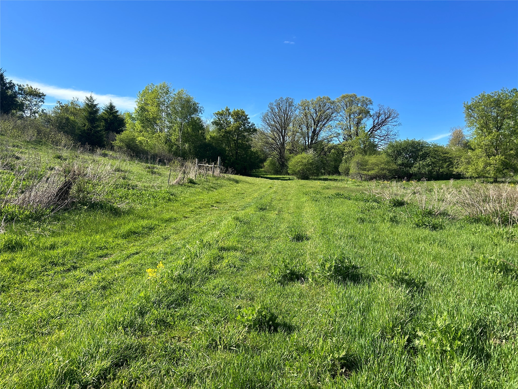 56.889 acres Shale Avenue N Dallas WI 54733 1601418 image11