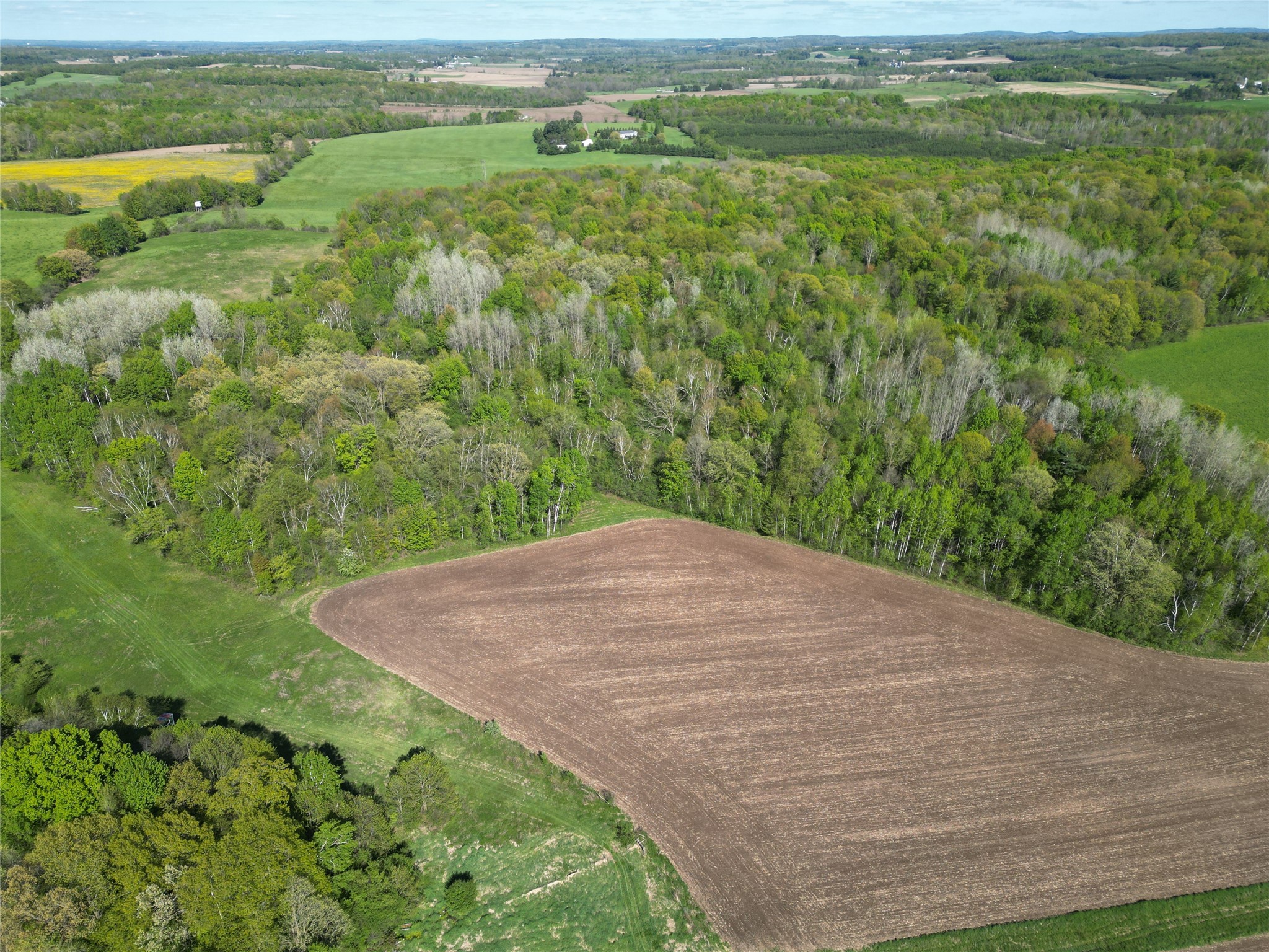 56.889 acres Shale Avenue N Dallas WI 54733 1601418 image7