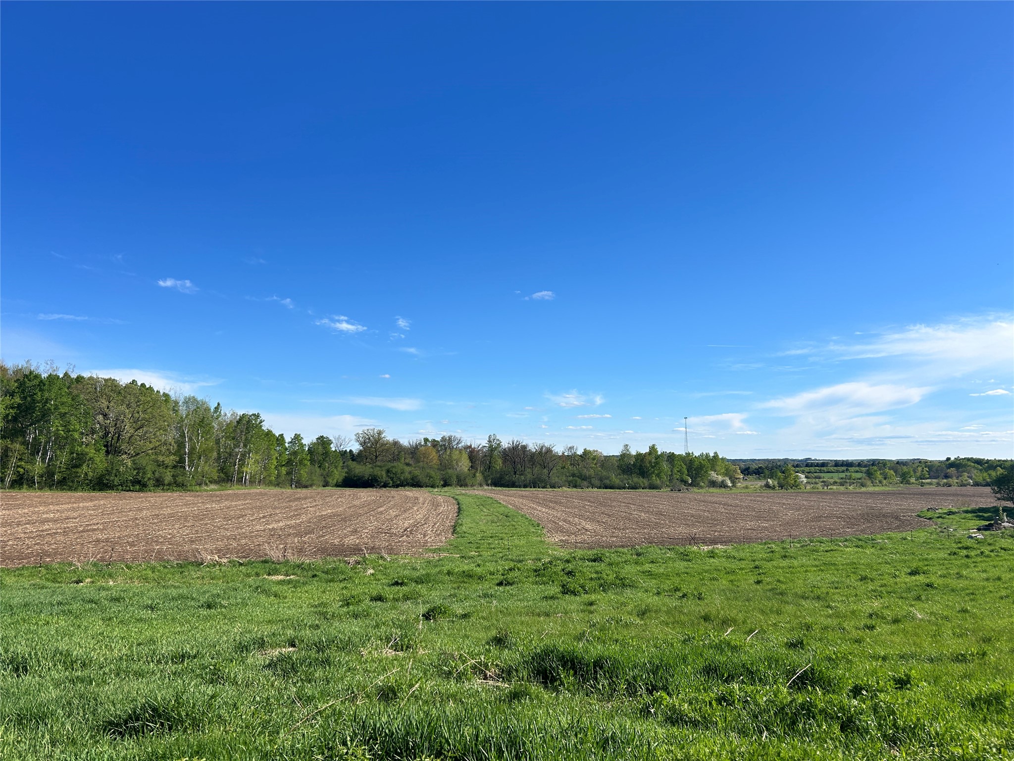56.889 acres Shale Avenue N Dallas WI 54733 1601418 image8