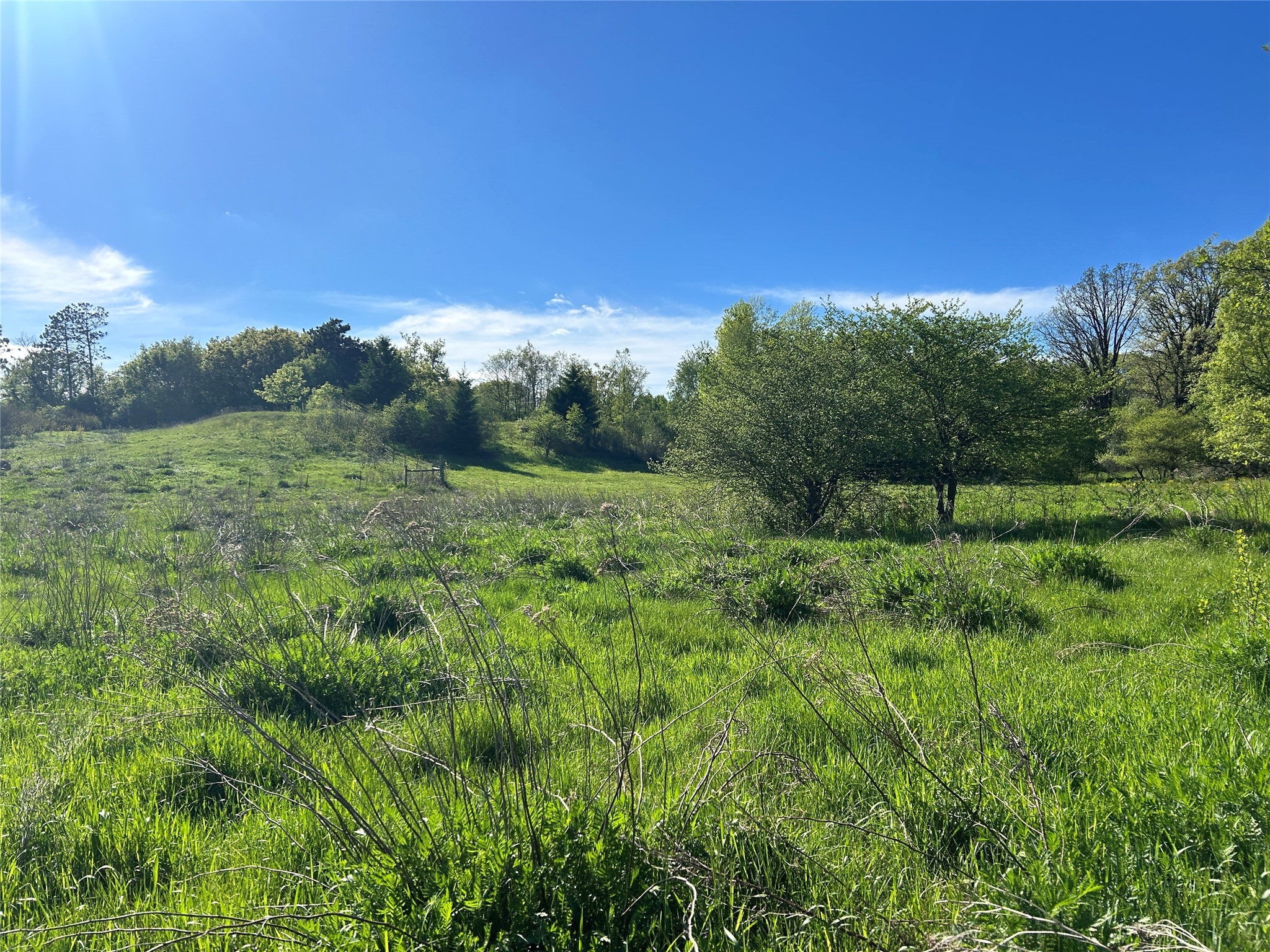 56.889 acres Shale Avenue N Dallas WI 54733 1601418 image9